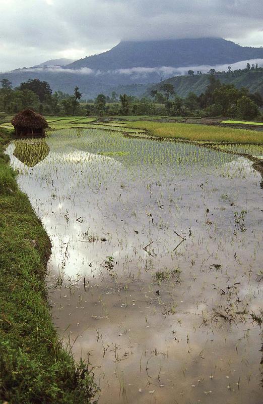 WT 1000 143-23 Nepal.jpg